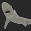 School Shark Swimming Pose 3D Model