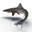 School Shark Swimming Pose 3D Model