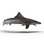 School Shark Swimming Pose 3D Model