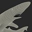 School Shark Swimming Pose 3D Model
