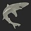 School Shark Swimming Pose 3D Model
