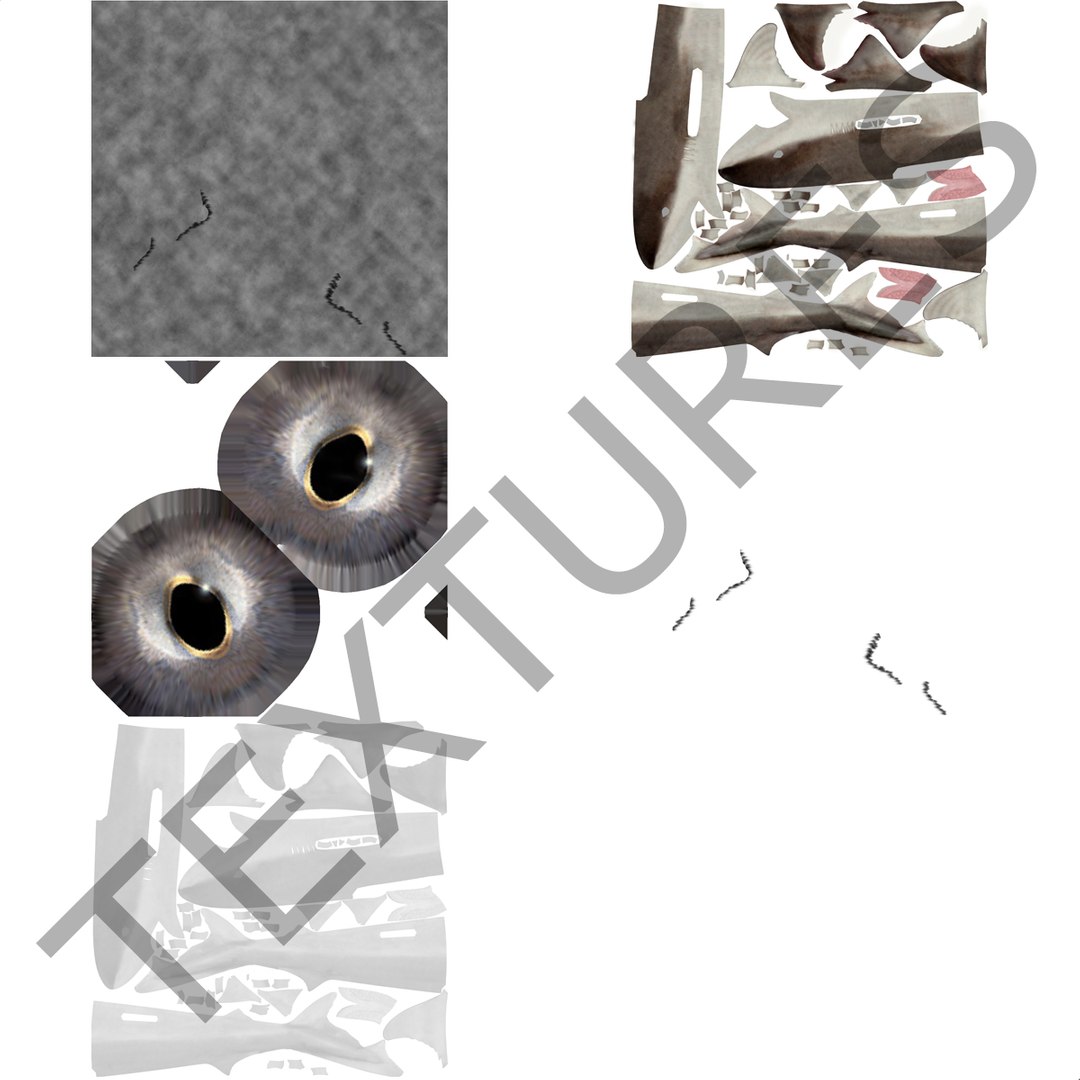 school shark pose 2 3d 3ds https://p.turbosquid.com/ts-thumb/xc/3h2TmW/soNhJxjx/3dmodelofschoolshark21/jpg/1447067360/1920x1080/fit_q87/0c35937f0f44d8d0f62d3c15f1220f1328e823fd/3dmodelofschoolshark21.jpg