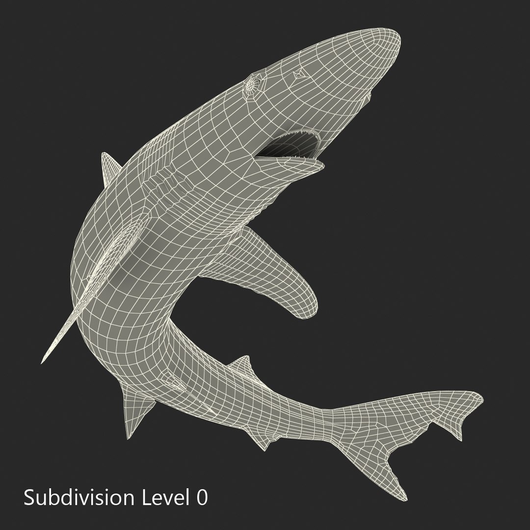 school shark pose 2 3d 3ds https://p.turbosquid.com/ts-thumb/xc/3h2TmW/yOHh0yrY/3dmodelofschoolshark17/jpg/1447067360/1920x1080/fit_q87/0a059a4645820596547999a5d809ae24196973c4/3dmodelofschoolshark17.jpg