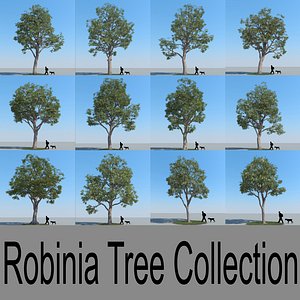 realistic robinia trees max