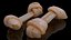 Robust Dog Chew Bone