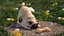 Robust Dog Chew Bone