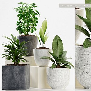 plants 165 model