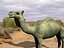 Camel (Lightwave) .lwo