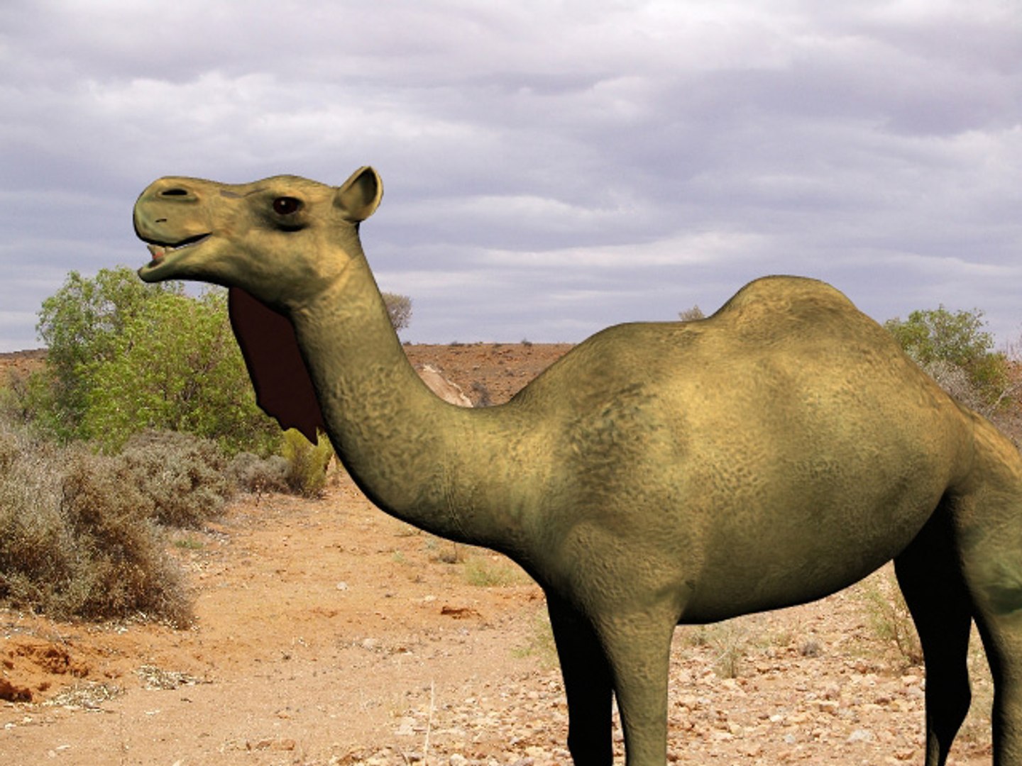 camel animal 3d model https://p.turbosquid.com/ts-thumb/xc/EqEfIg/P7jGPKTg/camel_hi_res_3/jpg/1187610429/1920x1080/fit_q87/e410d3958add73b89925e5ac7da2b916cffd8d30/camel_hi_res_3.jpg