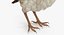 rigged birds 2 3D model
