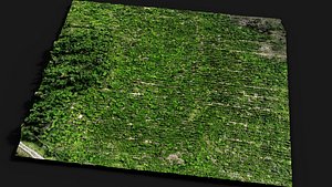 3D model forest terrain bushes field patch pt2 PBR photogrammetry