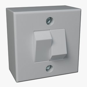 3D model light switch double