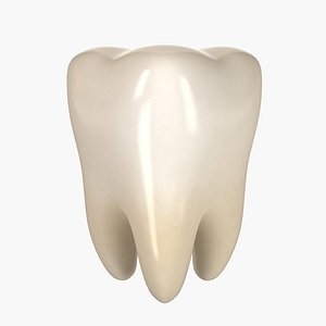 teeth 3d model