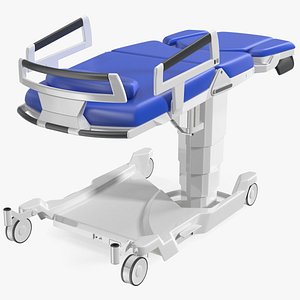3D Bed for Birth Blue Rigged model