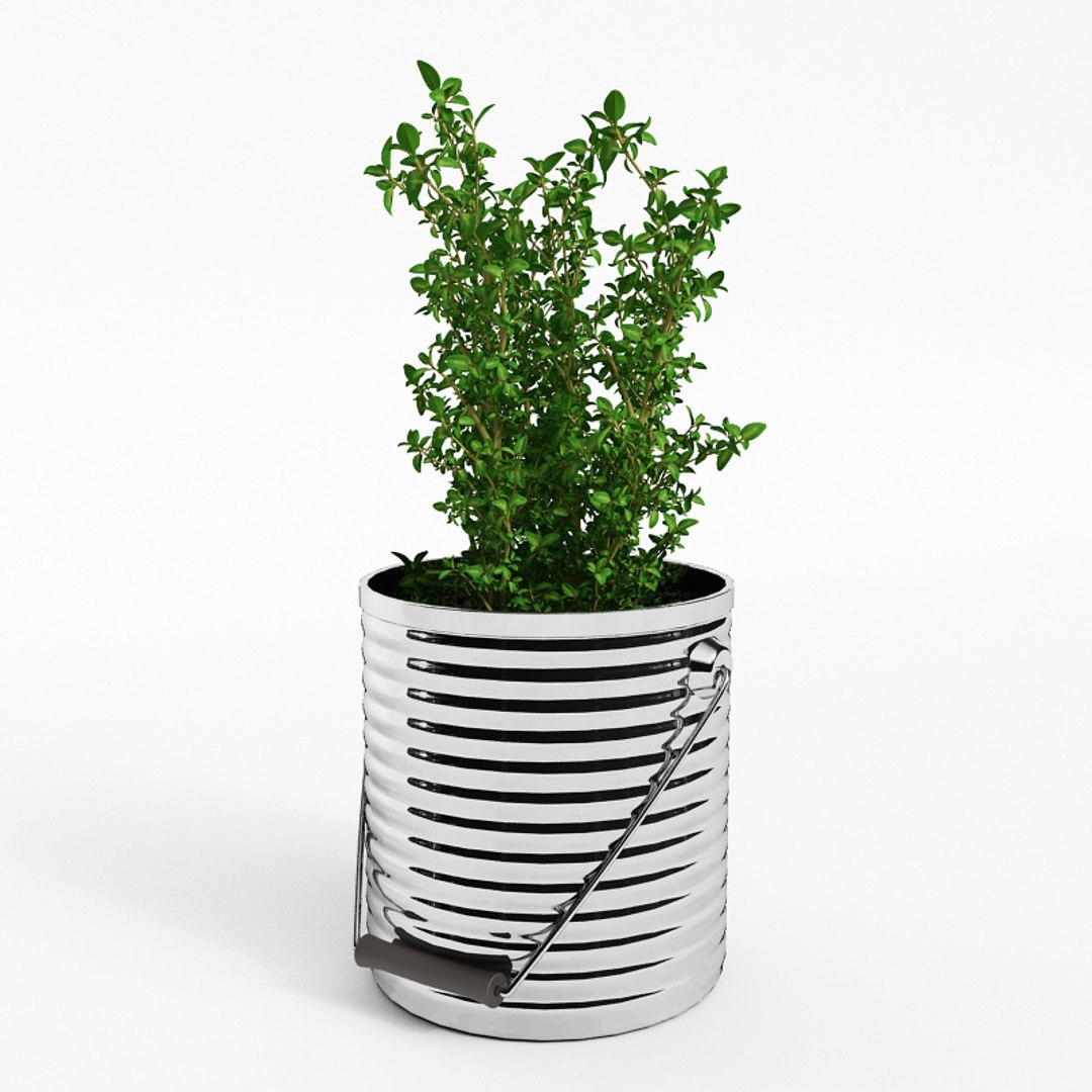 3D fruits vegetables model https://p.turbosquid.com/ts-thumb/xc/nDKsrr/0X8tEWX4/034/jpg/1606124104/1920x1080/fit_q87/a97f6c5a708e5f1aac44b276b81b39361c1fbb2a/034.jpg