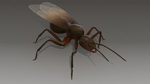 Flying Ant Rigged