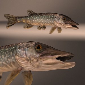 pike max