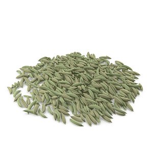 Fennel Seeds V1 3D model
