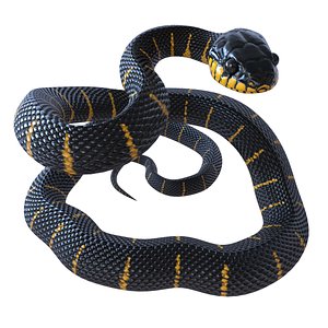 3D model Mangrove Snake - Rigged