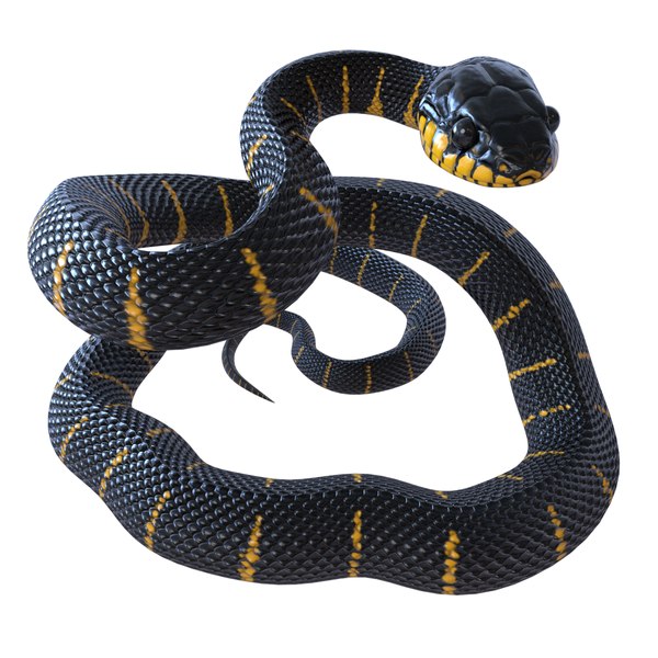 3d model mangrove snake - rigged