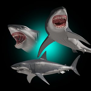 3D realistic great white shark