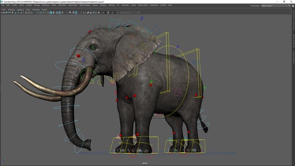 Free elephant rig 3D - TurboSquid 1383252