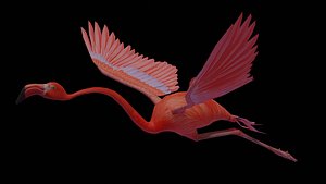 Flamingo flying
