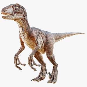 Velociraptor