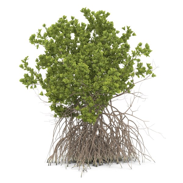 3ds max mangrove tree