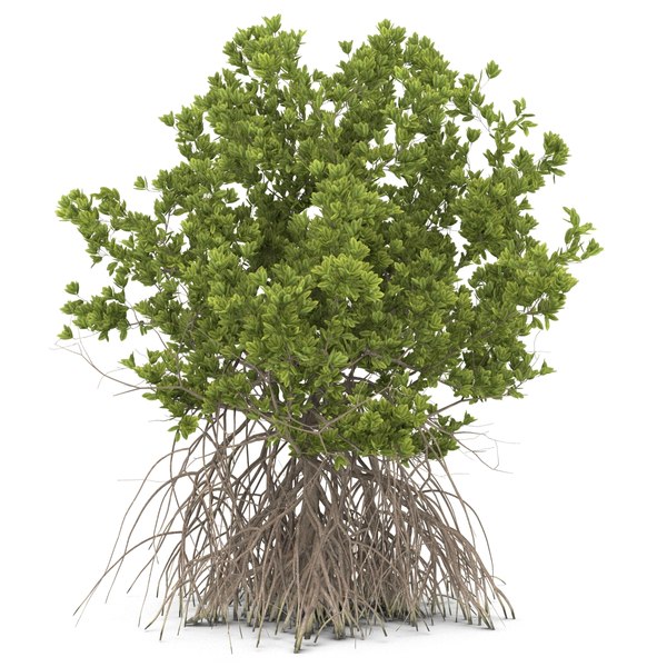 3ds max mangrove tree