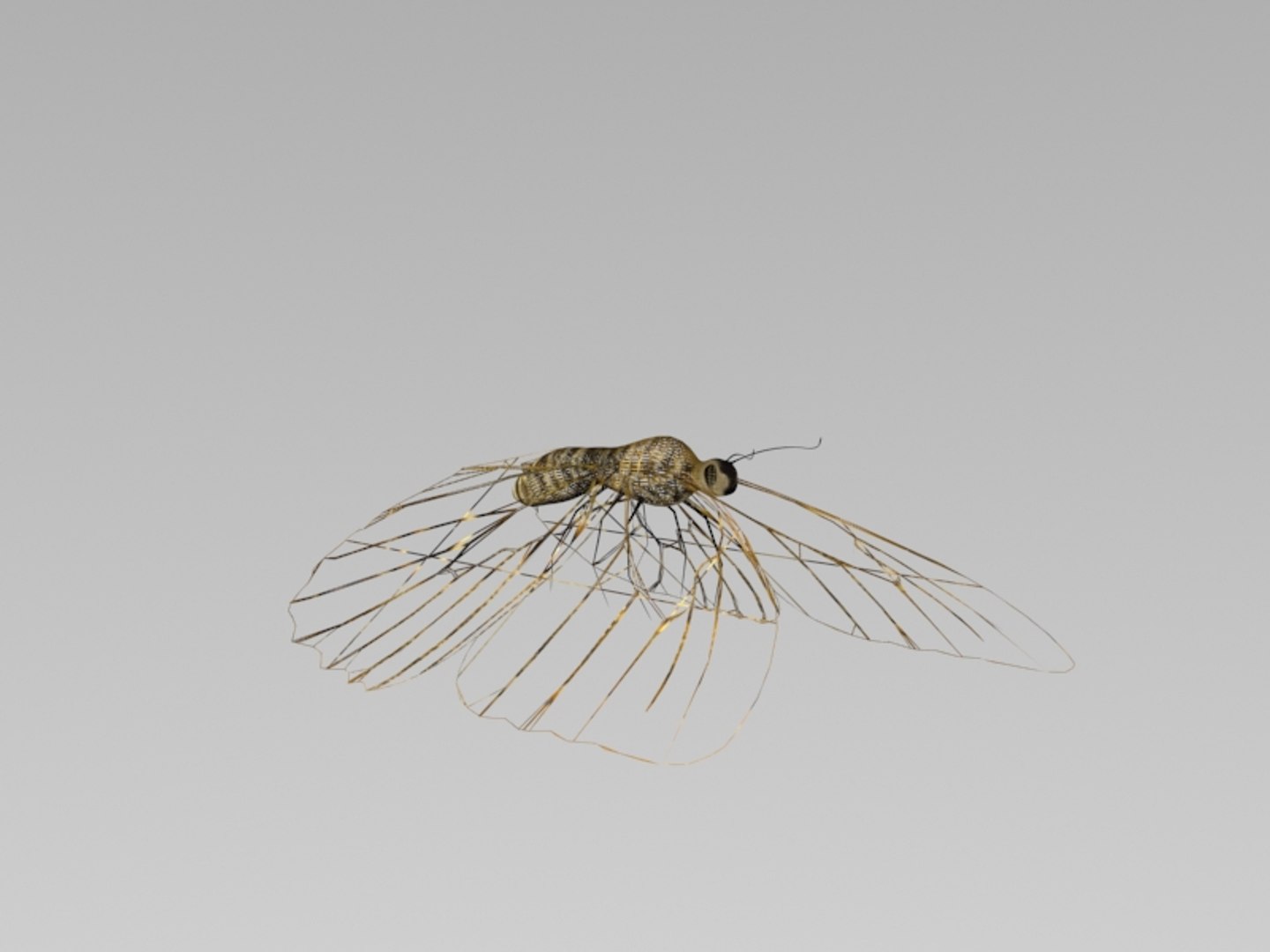 modeled butterfly animation flying wing max https://p.turbosquid.com/ts-thumb/xd/hMhQlu/bpBzBmjH/7/jpg/1437428684/1920x1080/fit_q87/bb53153f884f08260a30b5febcbf9382b82e35d0/7.jpg