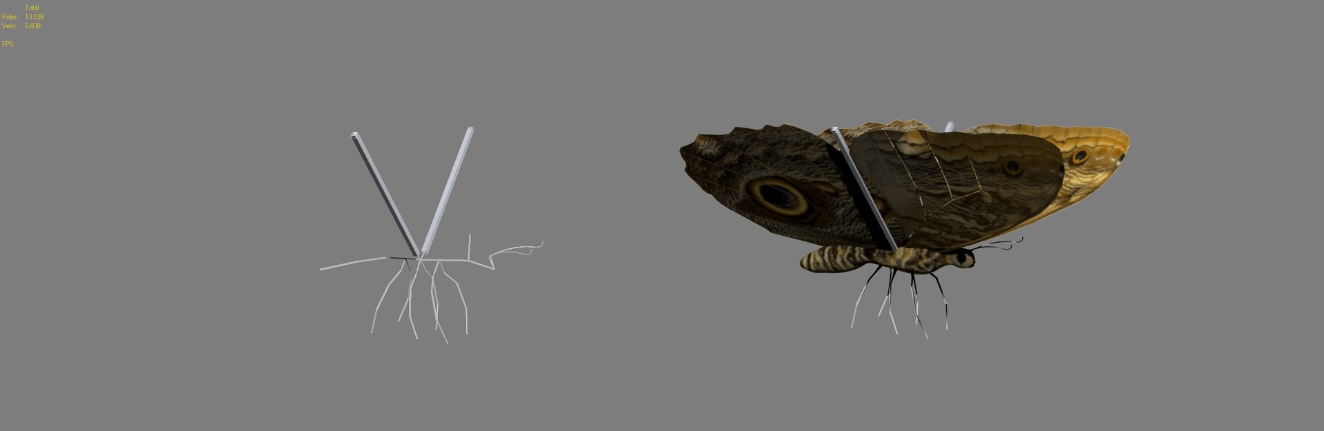 modeled butterfly animation flying wing max https://p.turbosquid.com/ts-thumb/xd/hMhQlu/kIkRRCw3/1/jpg/1437428684/1920x1080/fit_q87/4b92e4f499ec805a1e85f41174e0f8d73c9fceaf/1.jpg