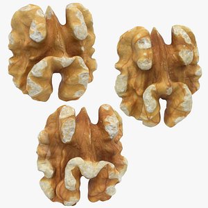 Walnut - 3D Scanned Collection 3D model