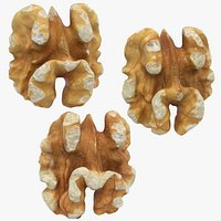 Walnut - 3D Scanned Collection