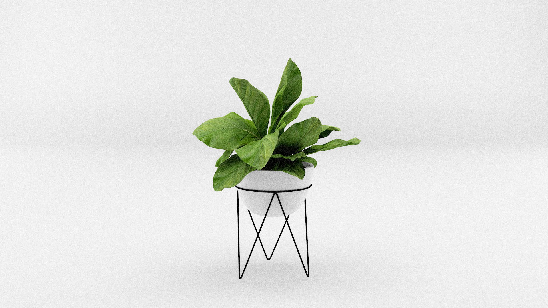 House Plants Collection model https://p.turbosquid.com/ts-thumb/xe/19SAzs/3G/plants4/jpg/1662040371/1920x1080/fit_q87/c348e338b33d5bde611dcde25fad49ac47cd0b8e/plants4.jpg