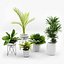 Colección de plantas de interior