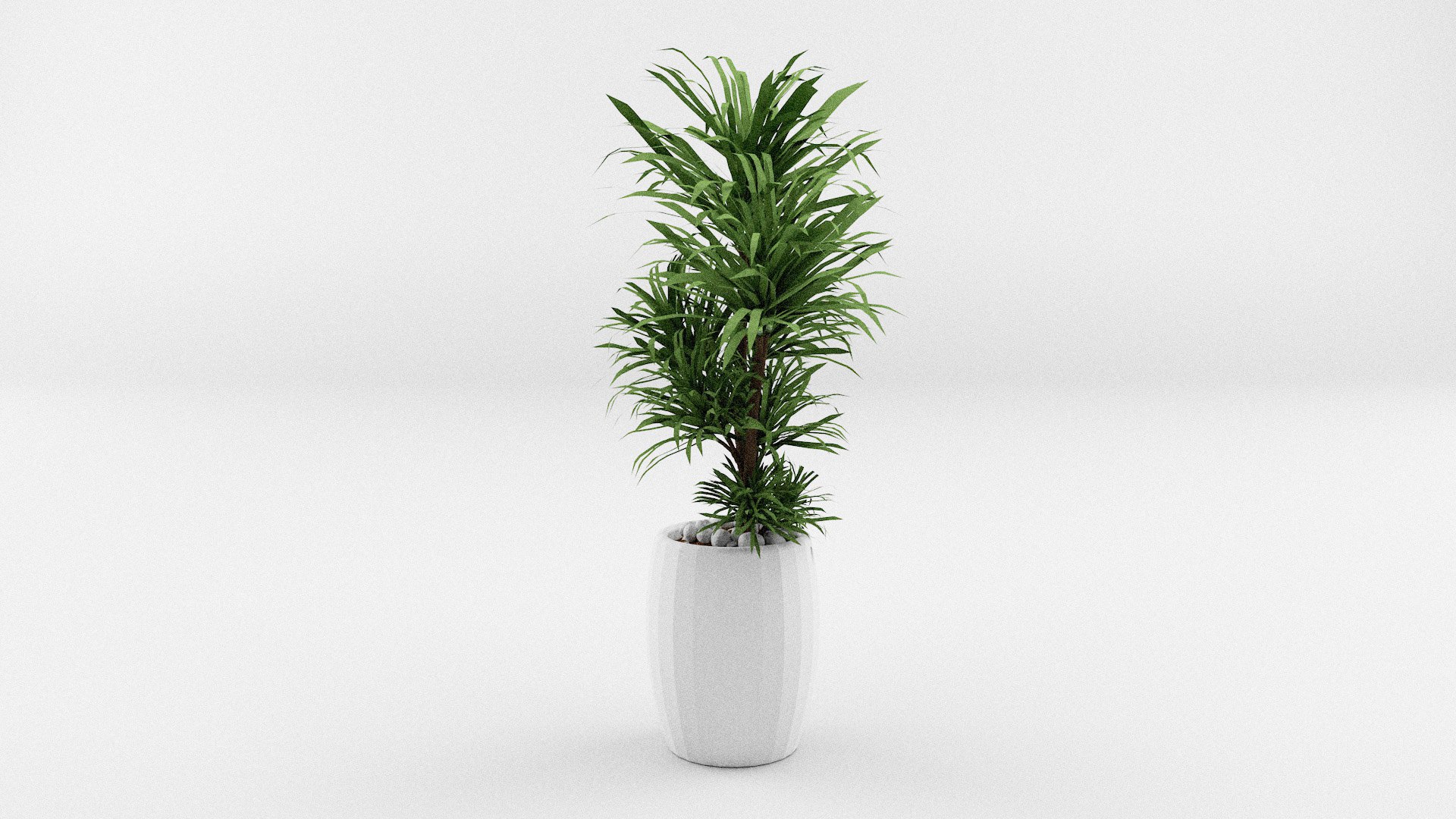 House Plants Collection model https://p.turbosquid.com/ts-thumb/xe/19SAzs/QB/plants1/jpg/1662040368/1920x1080/fit_q87/23320afea7e15d77a59d705751c1239870d9e0fa/plants1.jpg