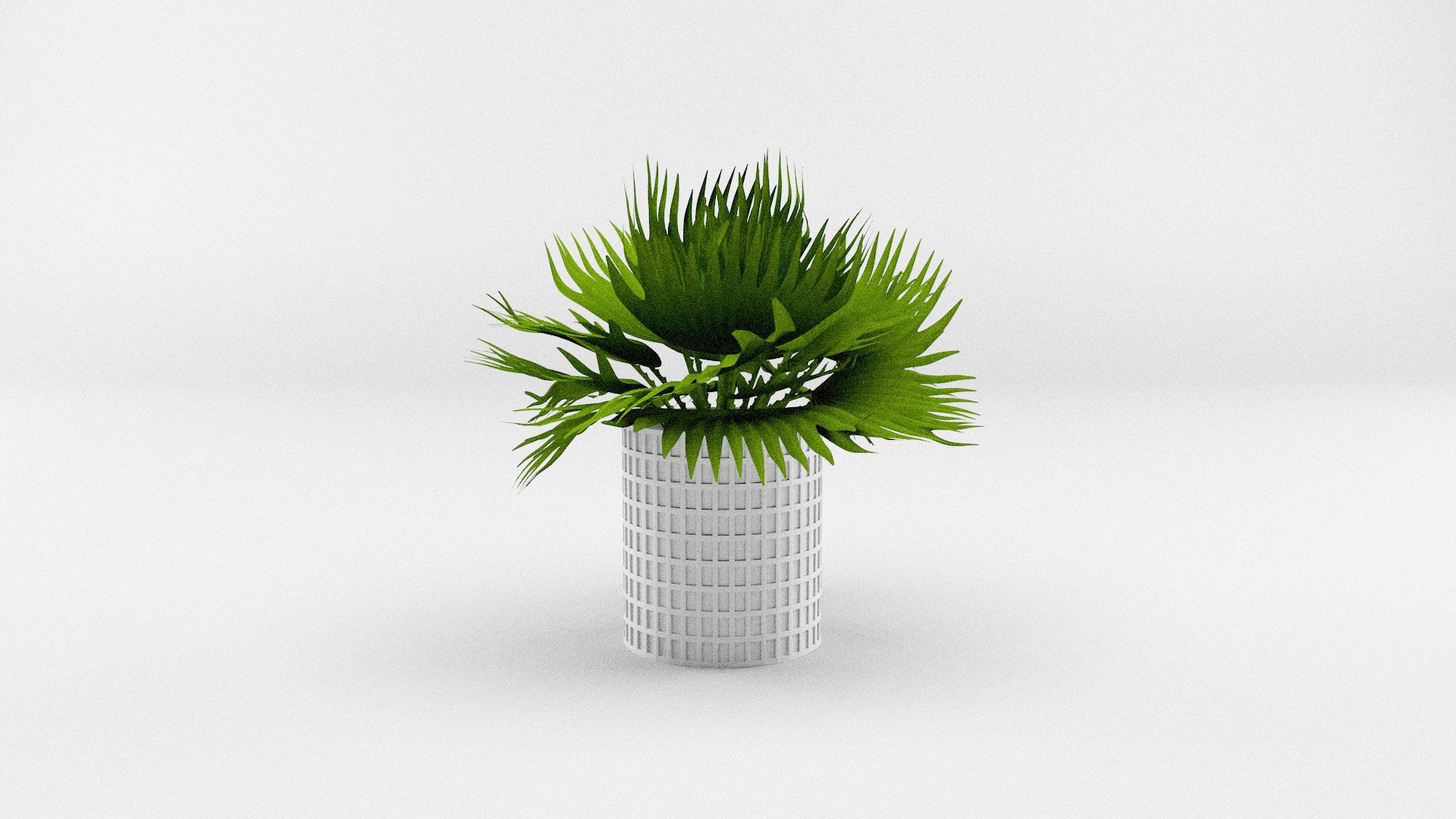 House Plants Collection model https://p.turbosquid.com/ts-thumb/xe/19SAzs/XI/plants2/jpg/1662040369/1920x1080/fit_q87/0f753a743fb124823710f044519aa84b361bff03/plants2.jpg