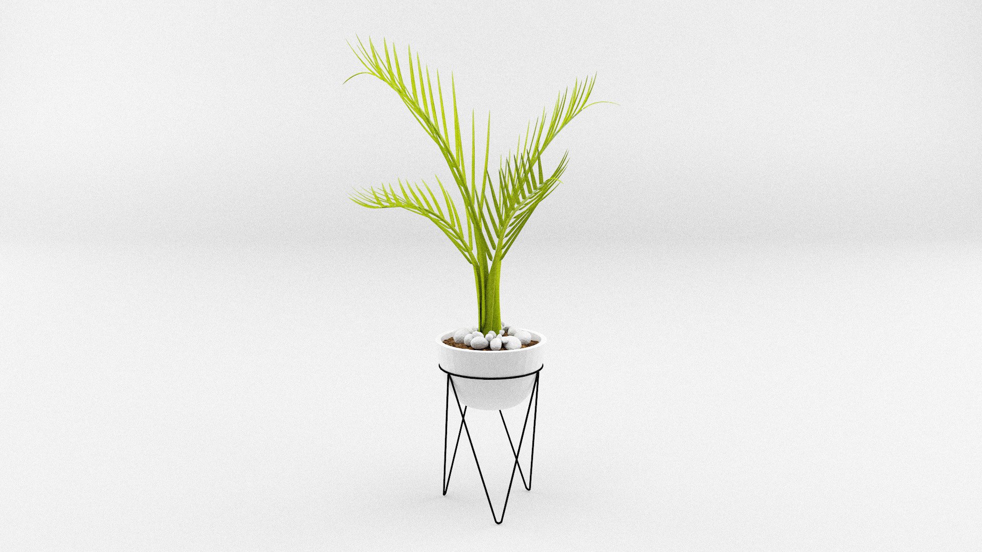 House Plants Collection model https://p.turbosquid.com/ts-thumb/xe/19SAzs/ii/plants5/jpg/1662040370/1920x1080/fit_q87/a43d44ab783dab67e8748becaec9a1a7754ca446/plants5.jpg