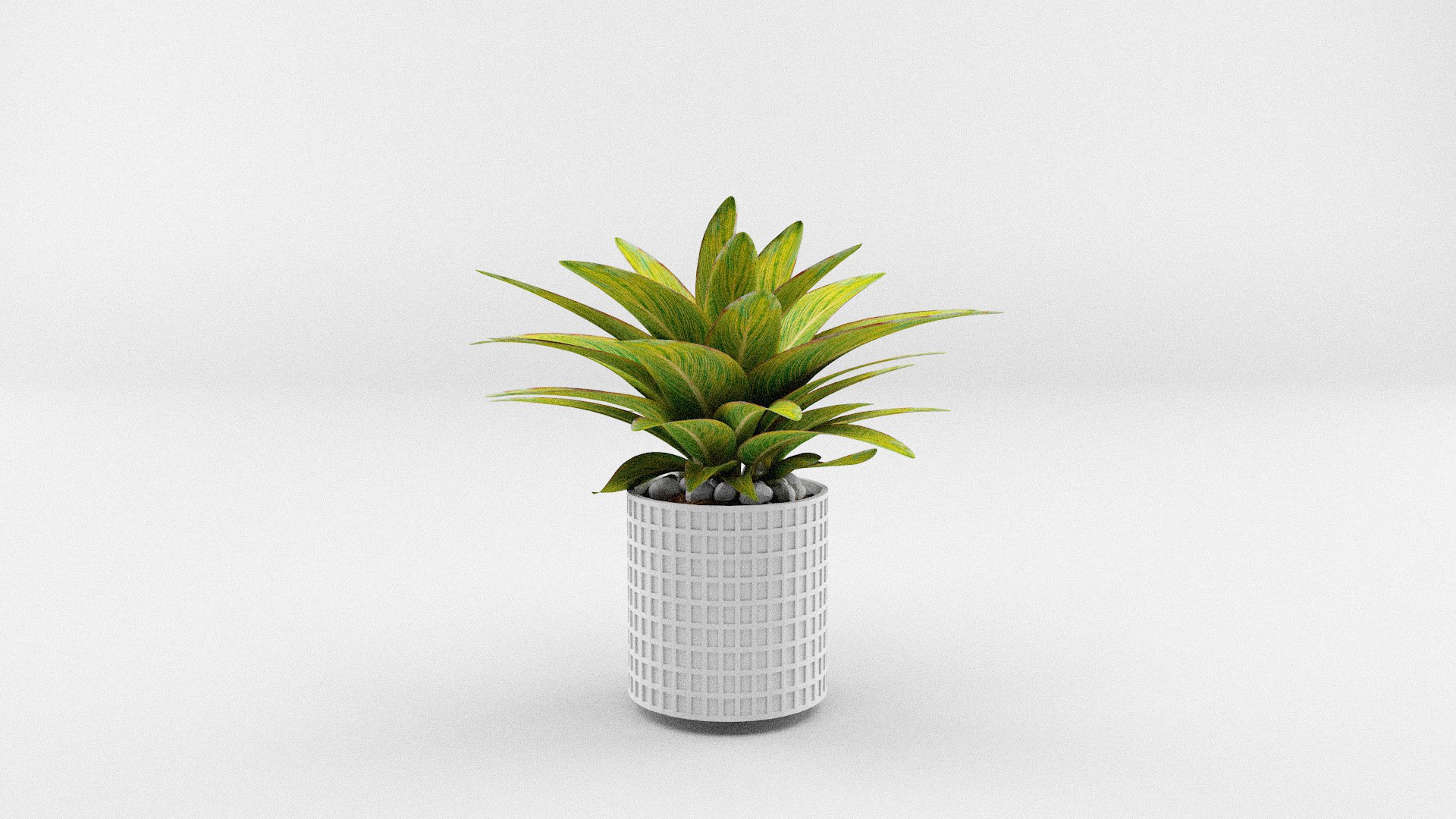 House Plants Collection model https://p.turbosquid.com/ts-thumb/xe/19SAzs/mz/plants3/jpg/1662040370/1920x1080/fit_q87/6fa0394e19bac239a8d41e601321d503868fe721/plants3.jpg