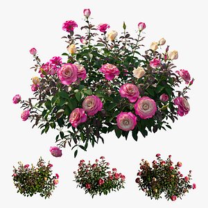 3D plant rose set 01