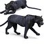Pantera Negra Rigged & Animated