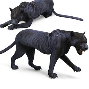 Rigged & Animated Black Panther