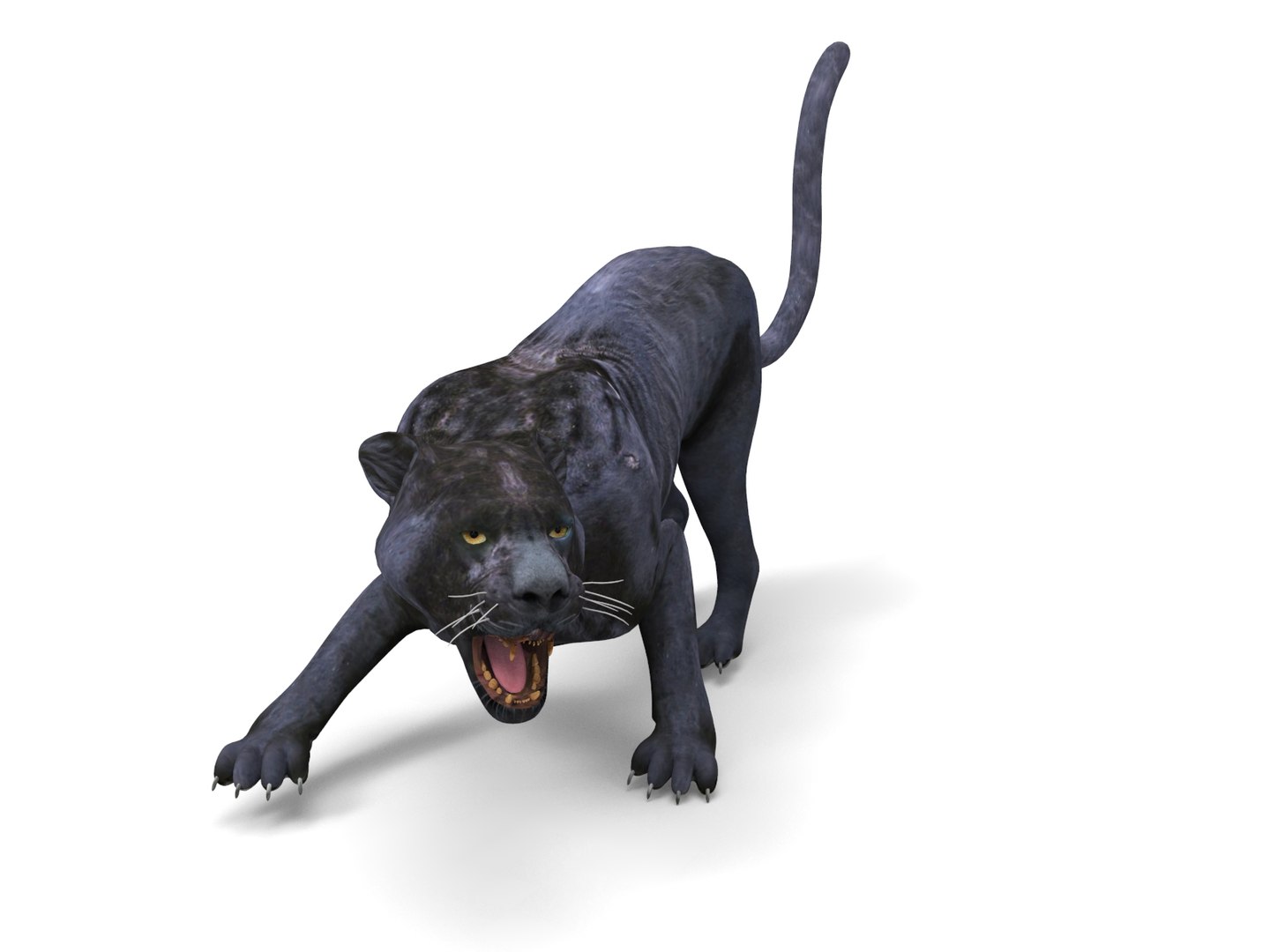 3D Panther Rigged Animation Model - TurboSquid 1289582