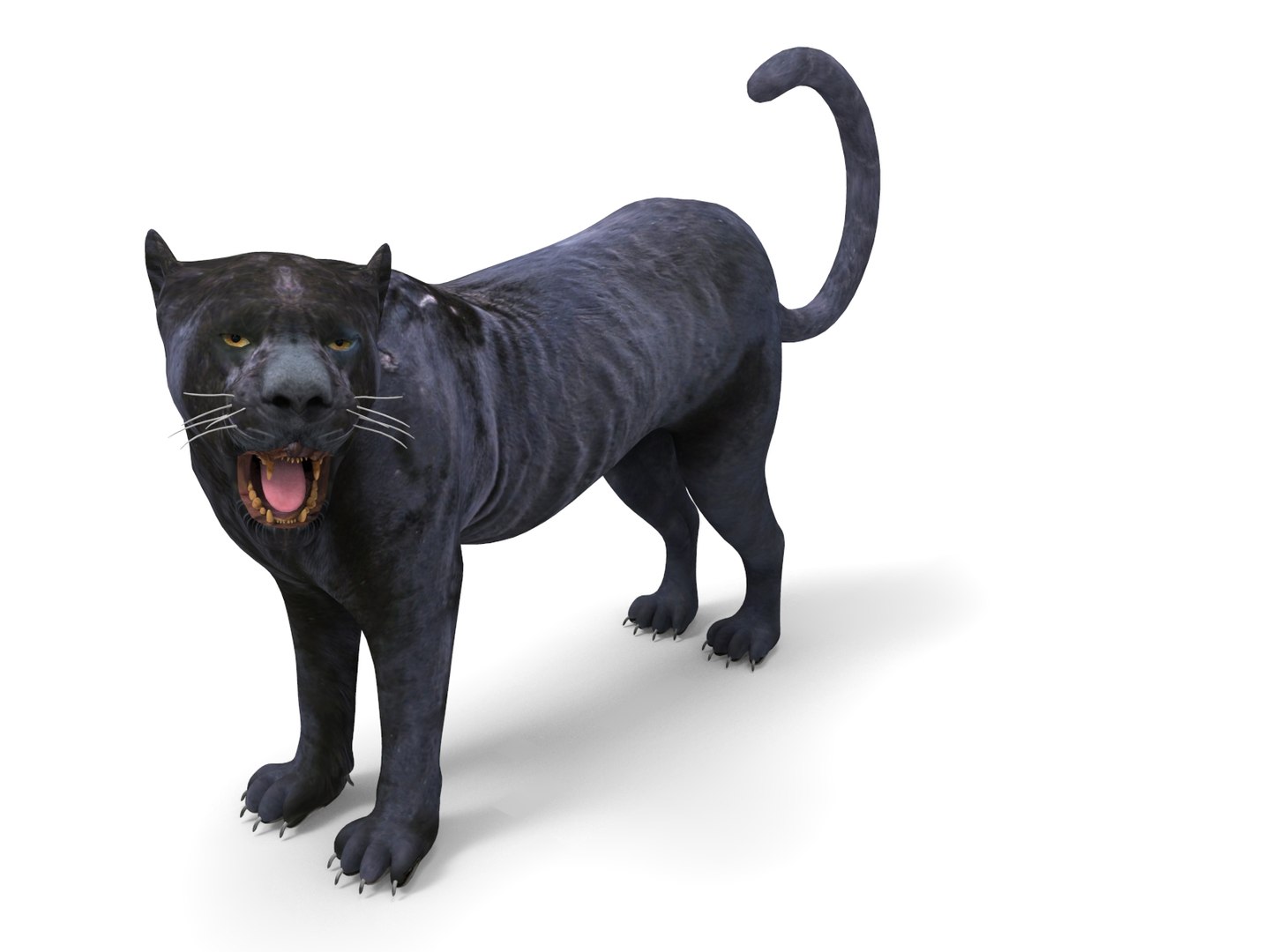 3D panther rigged animation model https://p.turbosquid.com/ts-thumb/xe/6dVB3R/E8mBvaCp/panther.882/jpg/1527143254/1920x1080/fit_q87/38c52e774e5cf2955d1c1c815aa46fc38a776e7b/panther.882.jpg
