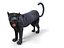 Pantera Negra Rigged & Animated