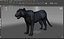Pantera Negra Rigged & Animated