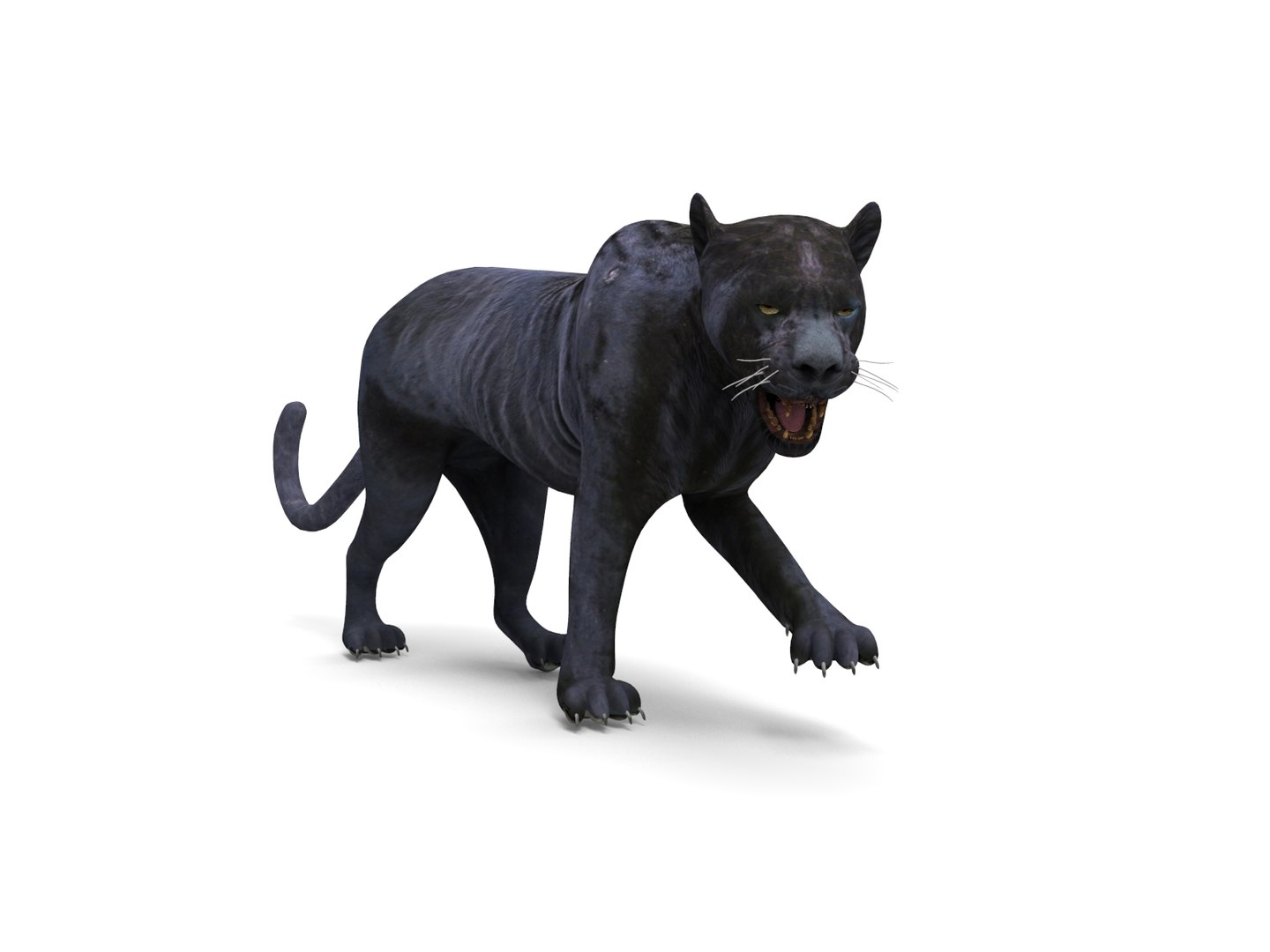 3D Panther Rigged Animation Model - TurboSquid 1289582