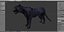 Pantera Negra Rigged & Animated