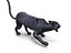 Pantera Negra Rigged & Animated